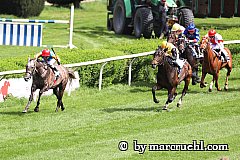 Erle siegt unter Martin Seidl