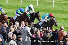 Alsterperle siegt unter Martin Seidl im Carla Kellner Zukunftsrennen - Pr.d. Winterkönigin Gr.3