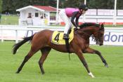Wildheart (IRE)