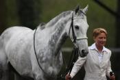 Simonas (IRE)