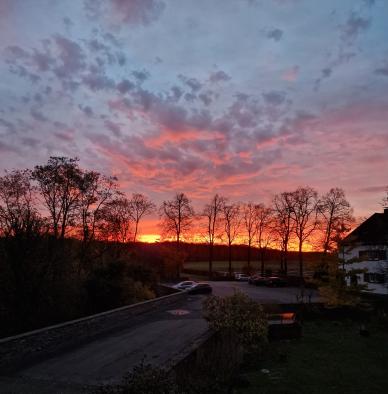 Sonnenaufgang im Gestüt Röttgen